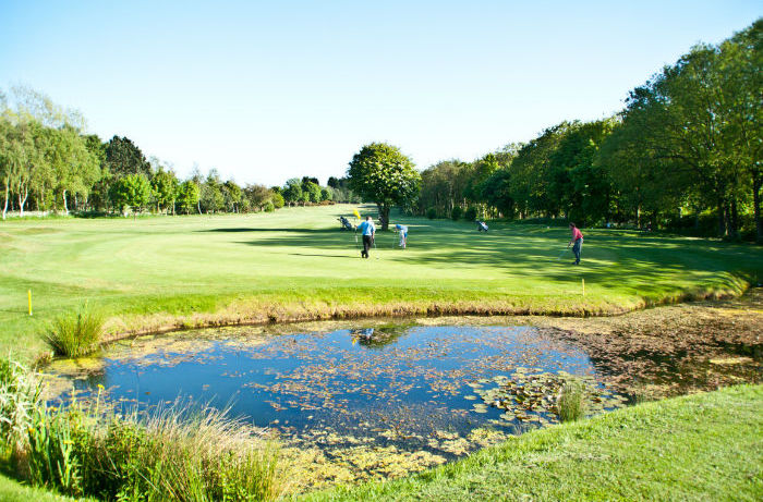 Hole 5, Whins