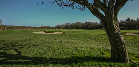 View the Golf Course